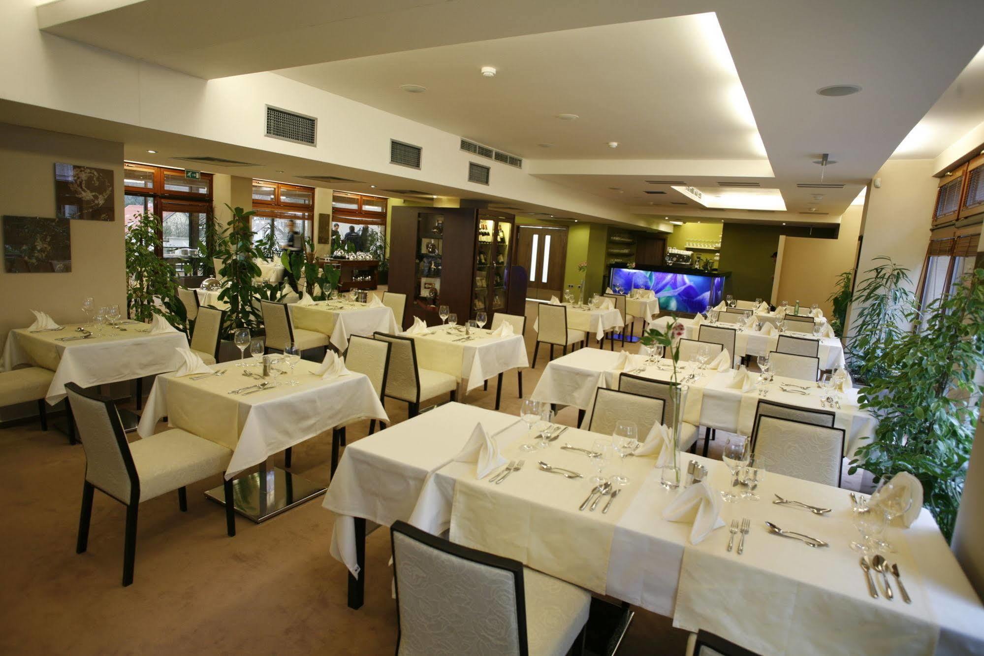 רייקה טפליצה Wellness Hotel Diplomat מראה חיצוני תמונה